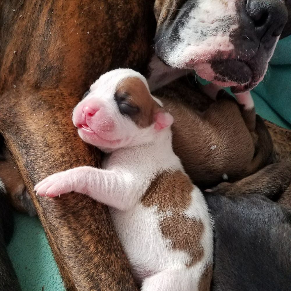 Meet your Posher, Michelle